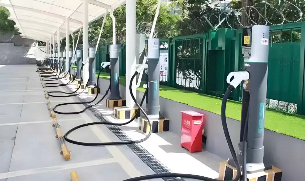 �ຣʡ���ľ�����Ӽ�԰С�����׮���輰��Ӫ����ʵ��